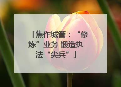 焦作城管：“修炼”业务 锻造执法“尖兵”
