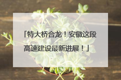 特大桥合龙！安徽这段高速建设最新进展！