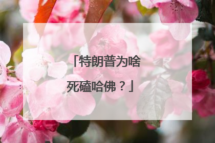 特朗普为啥死磕哈佛？