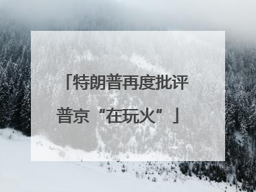 特朗普再度批评普京“在玩火”