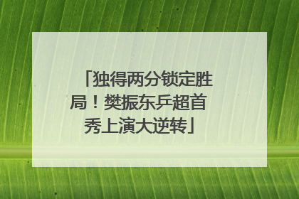 独得两分锁定胜局！樊振东乒超首秀上演大逆转