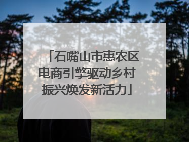 石嘴山市惠农区电商引擎驱动乡村振兴焕发新活力
