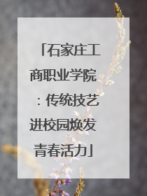 石家庄工商职业学院：传统技艺进校园焕发青春活力