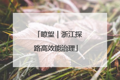 瞭望｜浙江探路高效能治理