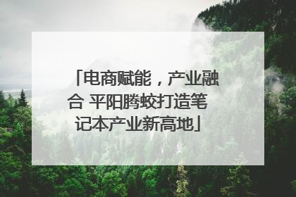 电商赋能，产业融合 平阳腾蛟打造笔记本产业新高地