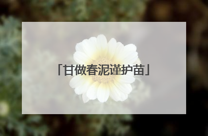 甘做春泥谨护苗