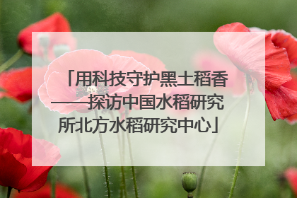 用科技守护黑土稻香——探访中国水稻研究所北方水稻研究中心