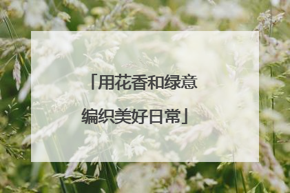 用花香和绿意编织美好日常