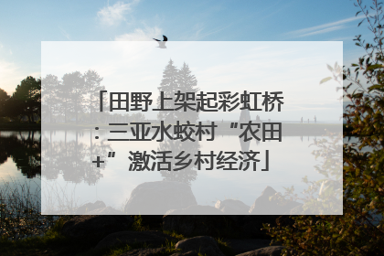 田野上架起彩虹桥：三亚水蛟村“农田+”激活乡村经济