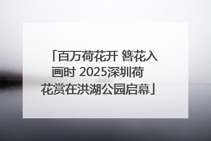 百万荷花开 簪花入画时 2025深圳荷花赏在洪湖公园启幕