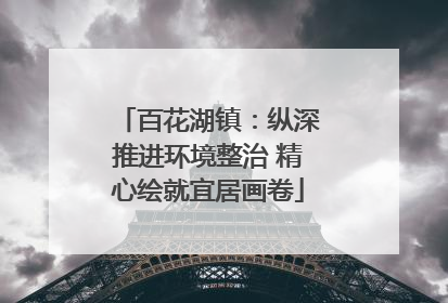 百花湖镇：纵深推进环境整治 精心绘就宜居画卷