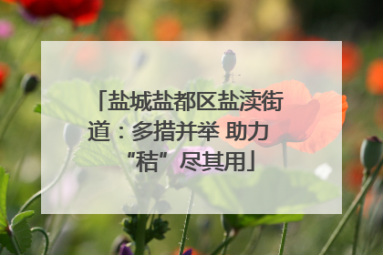 盐城盐都区盐渎街道：多措并举 助力“秸”尽其用