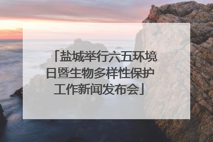 盐城举行六五环境日暨生物多样性保护工作新闻发布会