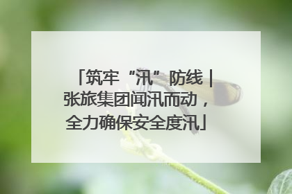 筑牢“汛”防线｜张旅集团闻汛而动，全力确保安全度汛
