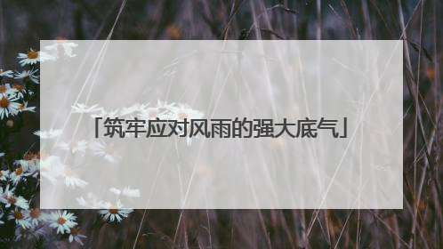 筑牢应对风雨的强大底气
