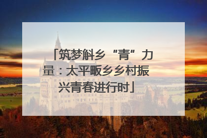 筑梦斛乡“青”力量：太平畈乡乡村振兴青春进行时