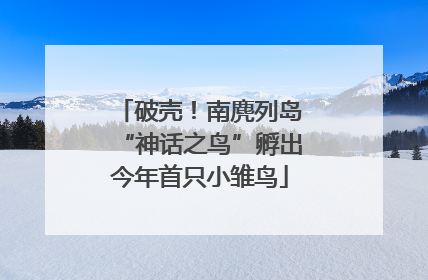 破壳！南麂列岛“神话之鸟”孵出今年首只小雏鸟