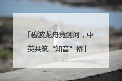 碧波龙舟竞剑河，中英共筑“知音”桥