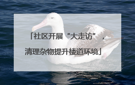 社区开展“大走访”，清理杂物提升楼道环境