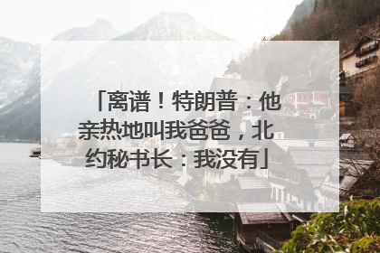 离谱！特朗普：他亲热地叫我爸爸，北约秘书长：我没有