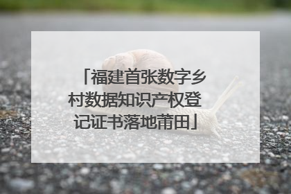 福建首张数字乡村数据知识产权登记证书落地莆田