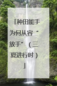 种田能手为何从容“放手”（三夏进行时）