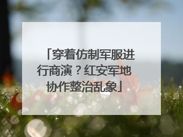 穿着仿制军服进行商演？红安军地协作整治乱象