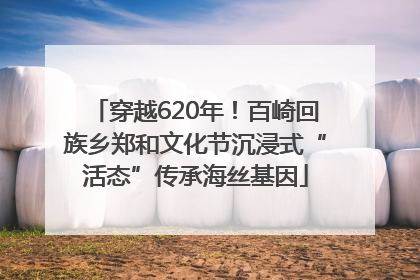 穿越620年！百崎回族乡郑和文化节沉浸式“活态”传承海丝基因