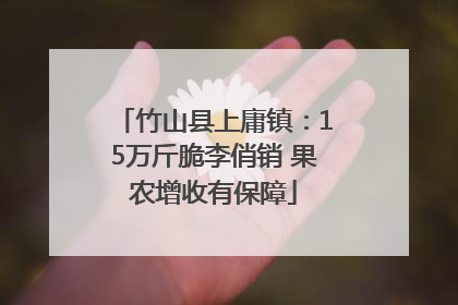 竹山县上庸镇：15万斤脆李俏销 果农增收有保障