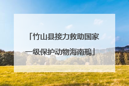 竹山县接力救助国家一级保护动物海南鳽