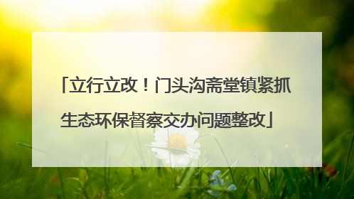立行立改！门头沟斋堂镇紧抓生态环保督察交办问题整改