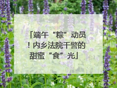端午“粽”动员！内乡法院干警的甜蜜“食”光