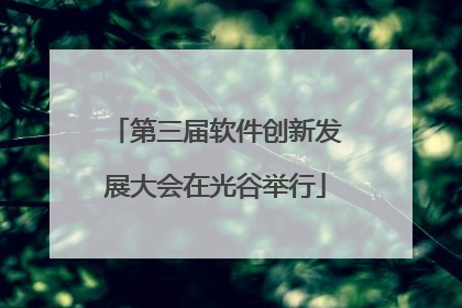 第三届软件创新发展大会在光谷举行