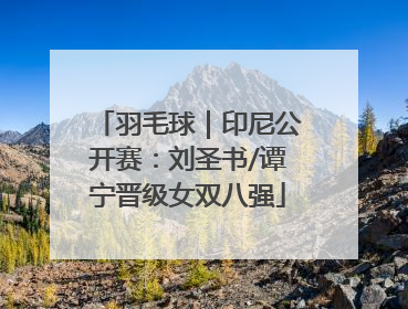 羽毛球｜印尼公开赛：刘圣书/谭宁晋级女双八强