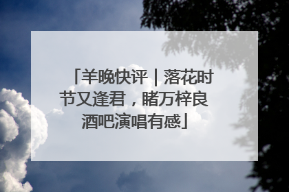 羊晚快评｜落花时节又逢君，睹万梓良酒吧演唱有感