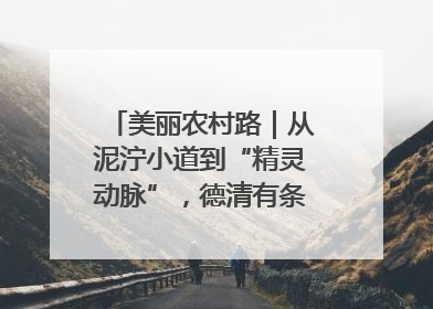 美丽农村路｜从泥泞小道到“精灵动脉”，德清有条“虾路”火了