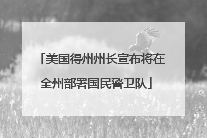美国得州州长宣布将在全州部署国民警卫队