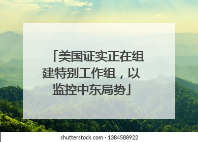 美国证实正在组建特别工作组，以监控中东局势