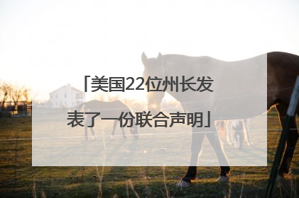 美国22位州长发表了一份联合声明
