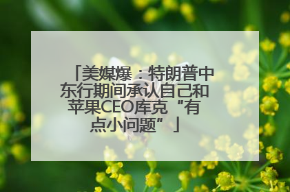 美媒爆：特朗普中东行期间承认自己和苹果CEO库克“有点小问题”