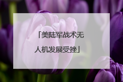 美陆军战术无人机发展受挫
