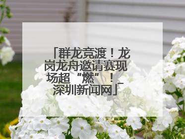 群龙竞渡！龙岗龙舟邀请赛现场超“燃”！_深圳新闻网