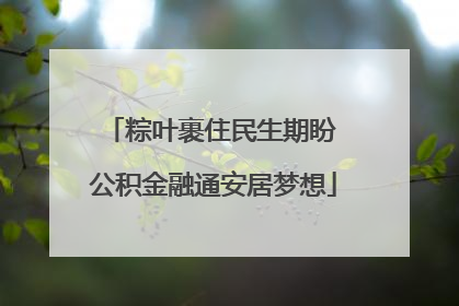 粽叶裹住民生期盼 公积金融通安居梦想