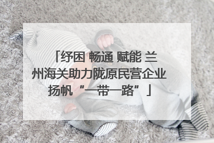 纾困 畅通 赋能 兰州海关助力陇原民营企业扬帆“一带一路”