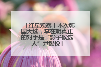 红星观察丨本次韩国大选，李在明真正的对手是“影子候选人”尹锡悦