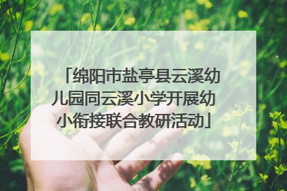 绵阳市盐亭县云溪幼儿园同云溪小学开展幼小衔接联合教研活动