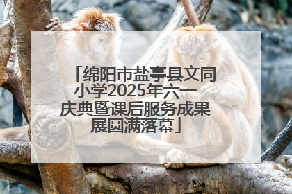 绵阳市盐亭县文同小学2025年六一庆典暨课后服务成果展圆满落幕