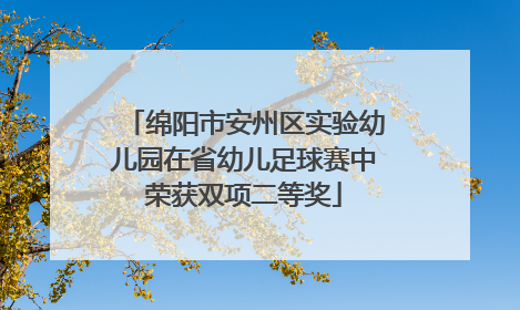 绵阳市安州区实验幼儿园在省幼儿足球赛中荣获双项二等奖