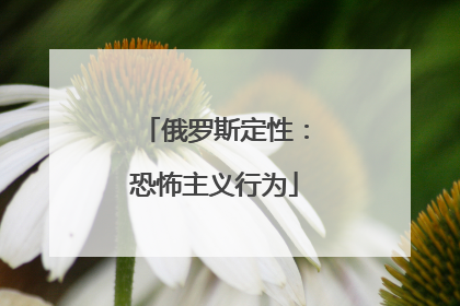 俄罗斯定性：恐怖主义行为