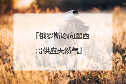 俄罗斯愿向墨西哥供应天然气